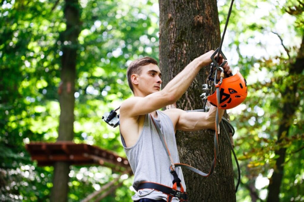 Tree Pruning Sydney
