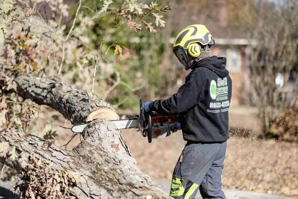 tree service