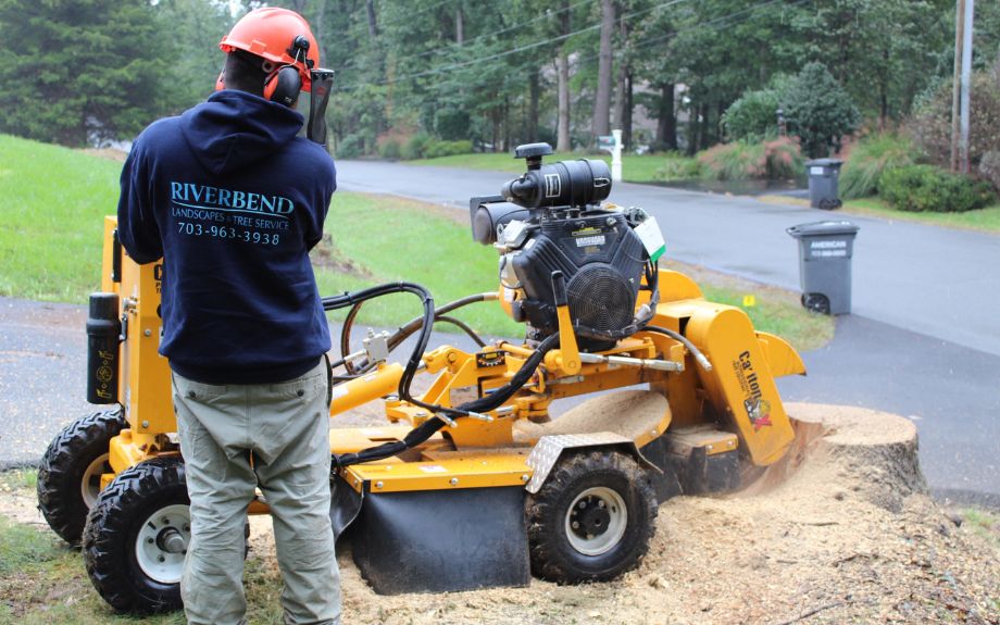 Why You Should Always Hire Experts for Stump Grinding Sydney
