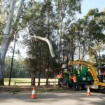 Tree Lopping Service Sydney: Safer Alternatives to Topping
